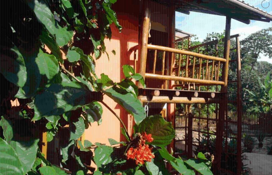 Concha Tropical Flat Apartment Itacare