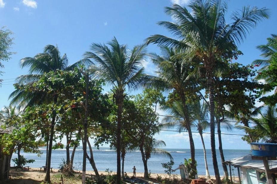 Concha Tropical Flat