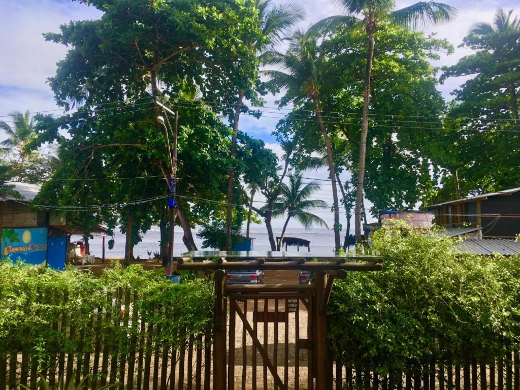 Apartment Concha Tropical Flat